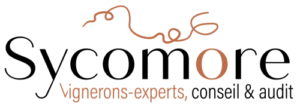 Logo de SYCOMORE – CARSIN Thomas
