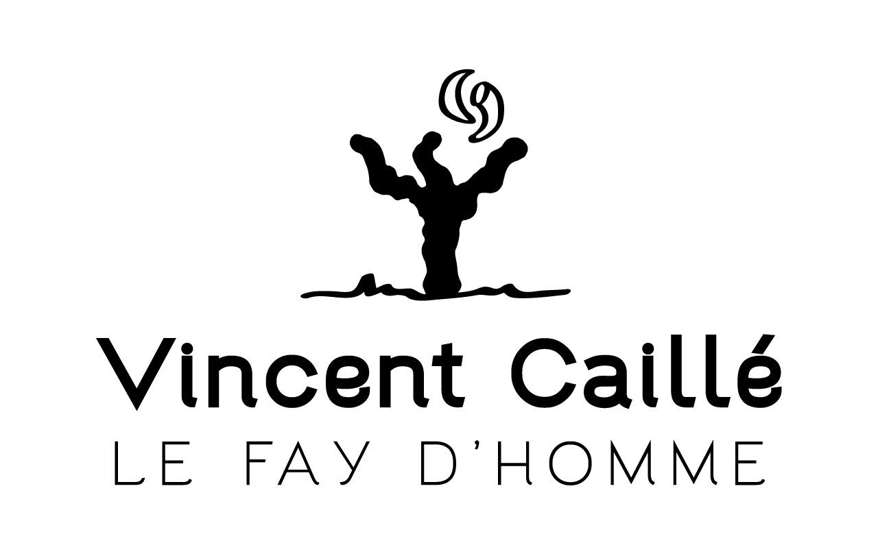 Logo de Domaine Le Fay d&rsquo;Homme