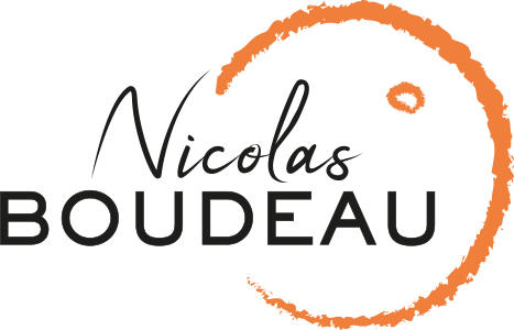 Logo de Domaine Nicolas Boudeau