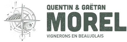 Logo de Domaine LES PREVELIERES