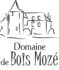 Logo de Domaine de BOIS MOZÉ